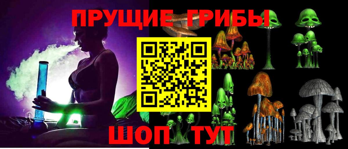 Звенигород  Псилоцибиновые грибы ЛСД  Вход с VPN  Галлюциногенные грибы мухоморы 
